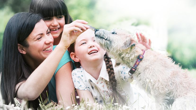 Com Imunidade em alta, a saúde fica em equilíbrio